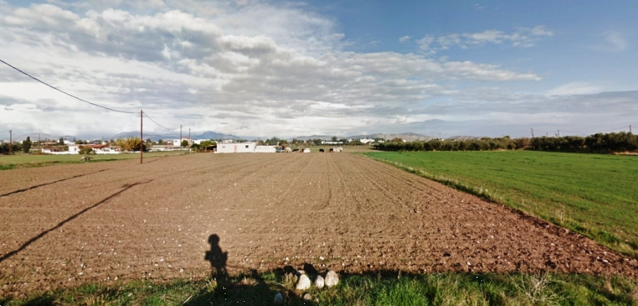 (For Sale) Land Agricultural Land  || Dodekanisa/Kos-Dikaios - 8.990 Sq.m, 90.000€ 