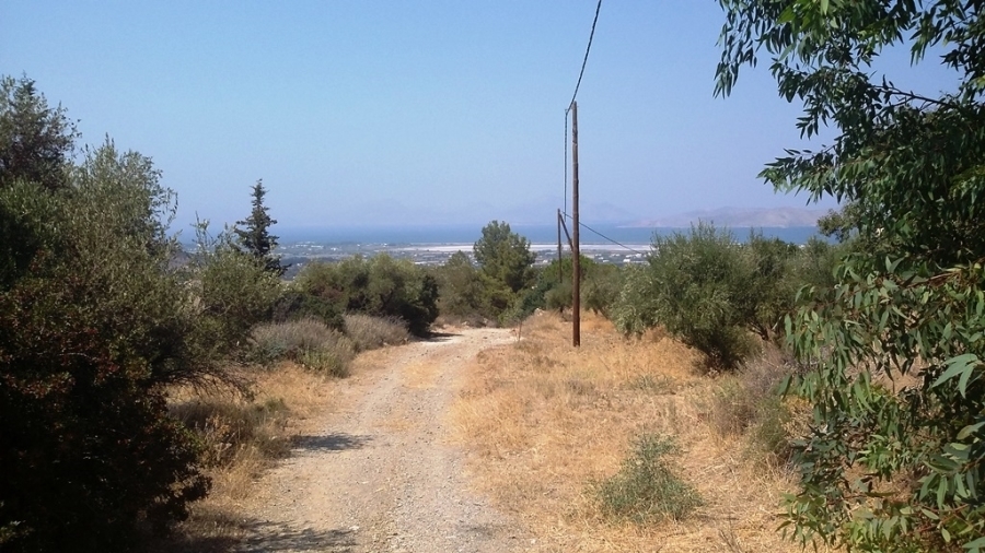 (For Sale) Land Agricultural Land  || Dodekanisa/Kos-Dikaios - 5.840 Sq.m, 90.000€ 