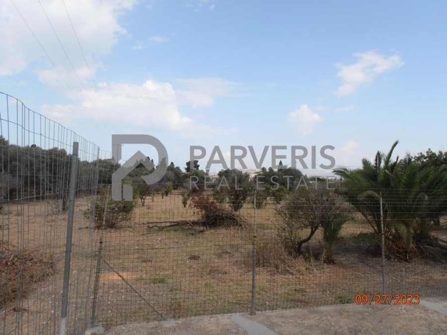 (For Sale) Land Agricultural Land  || Dodekanisa/Kos Chora - 7.492 Sq.m, 350.000€ 