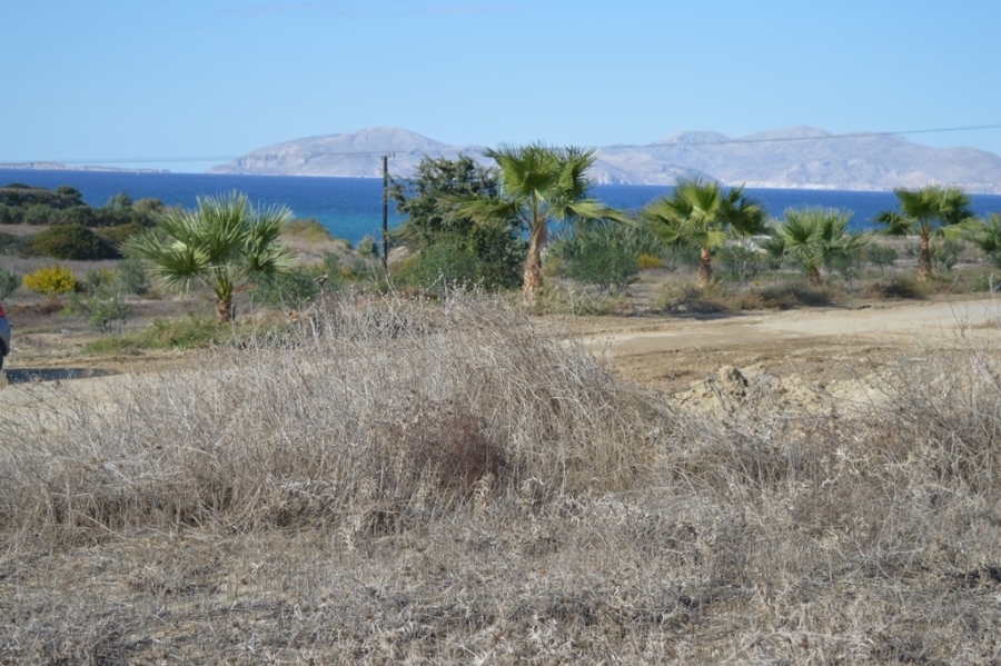 (For Sale) Land Agricultural Land  || Dodekanisa/Kos-Irakleides - 7.800 Sq.m, 120.000€ 