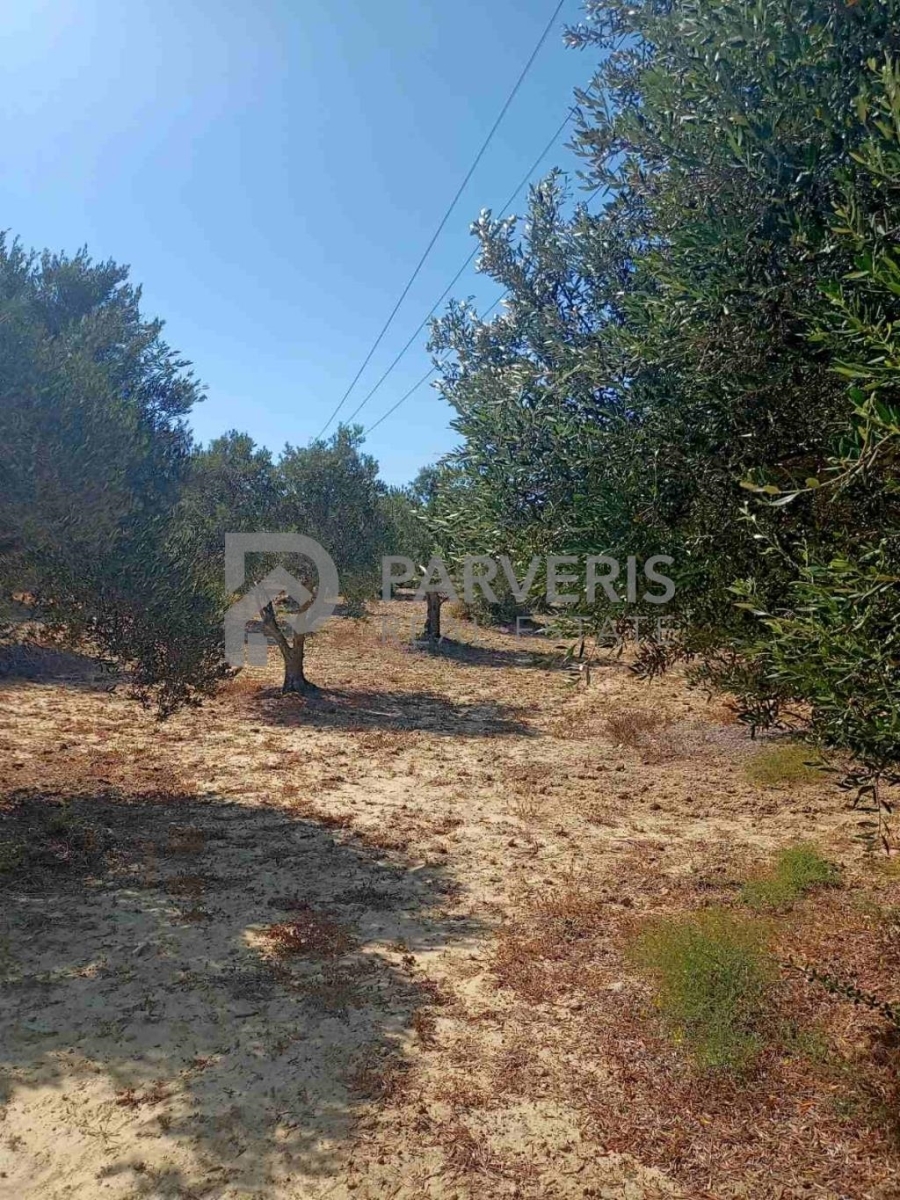 (For Sale) Land Agricultural Land  || Dodekanisa/Kos-Irakleides - 5.640 Sq.m, 27.000€ 